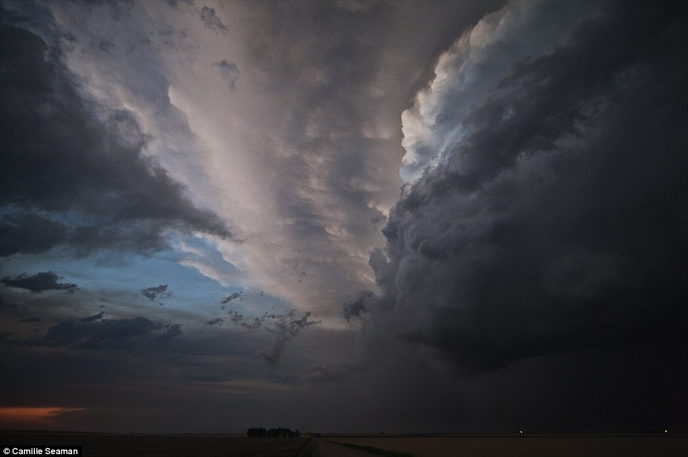 ��Ӱʦ��׽�������������𺳱���