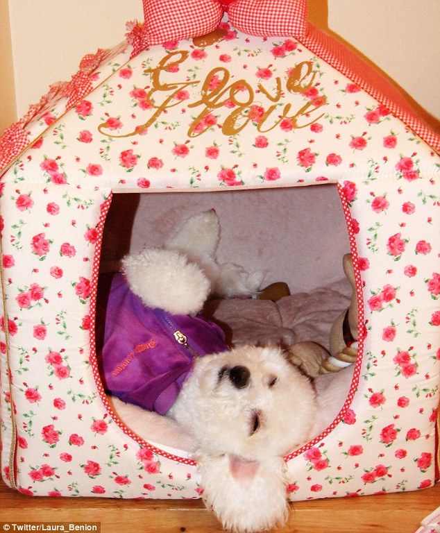 Ӣ��С�������������ö�������