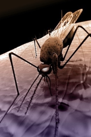 ��̾��ҽѧ3D������ͼ ��������ͼ