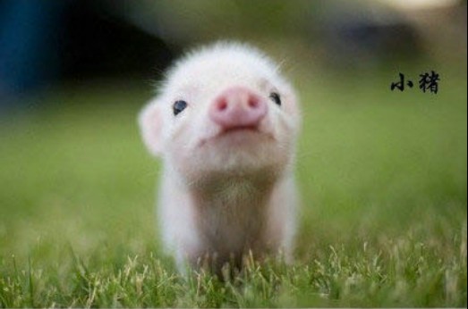 ����ոճ���ʱ������� ������𣿣�ͼ��