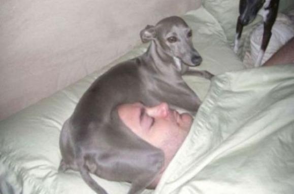 ��һ�۾�Ц�������ͼ ��ЦͼƬ