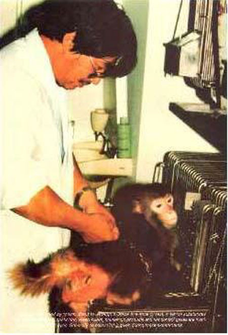 ���أ��Ҳ��̶õĶ���ʵ�����Ƭ��ͼ��