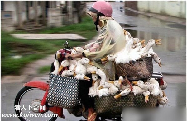 ���޸��ص�Ħ�г�ǿ�� ����Ц����(��ͼ)