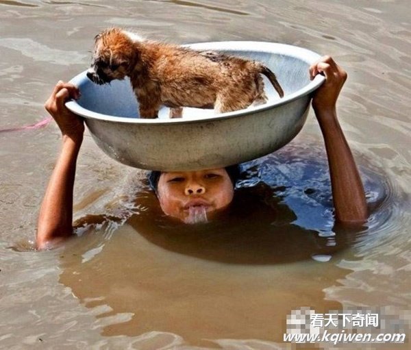 �̲�סЦ���Ŀ�ͼ