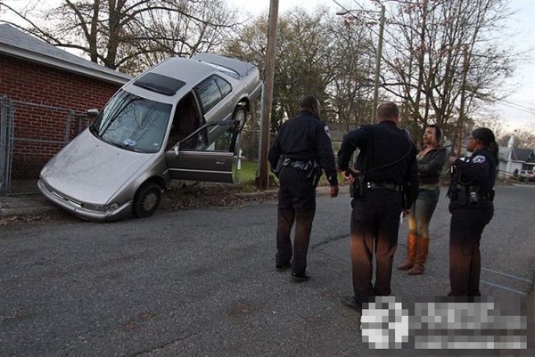 ������Լ�е�ţ��ţͼ