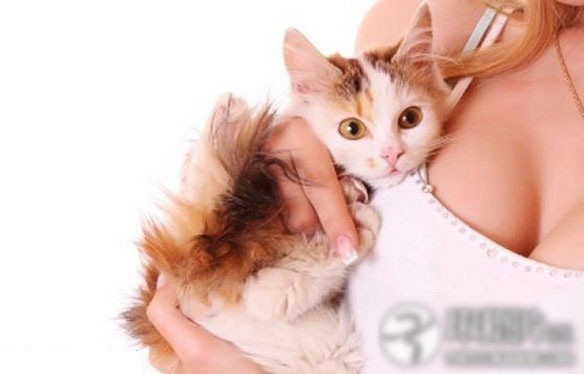 ��Ů������������ĳ����˹���ͼ�� ������ذ�(��ͼ)