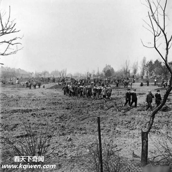 再现纳粹集中营惨状:美军解放后掩埋尸体(组图)