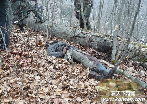 ����Ͷ4�ֵ�ҩը�ٿֲ����ӱ����� ʬ���������(ֱ����ͼ57P)